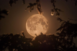 Illustration for article titled 19 Stunning Photos of The Year's Biggest, Most Beautiful Moon So Far